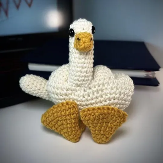 🦆The Duck-You Crochet Goose